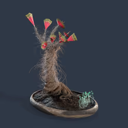 Evolving Forest #5216