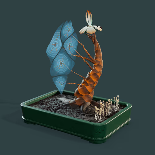 Evolvingforest