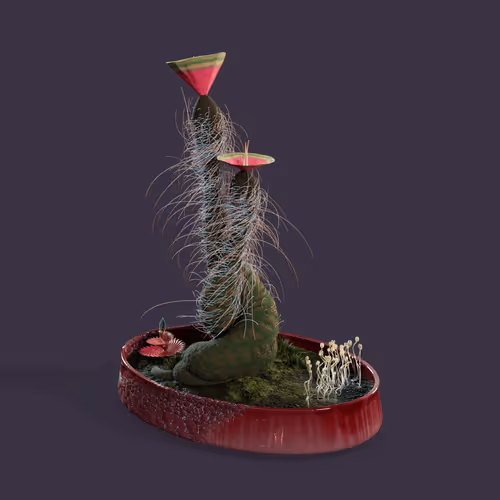 Evolvingforest