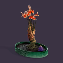 Evolving Forest #7953
