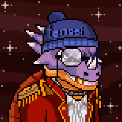 tensei turtle 211
