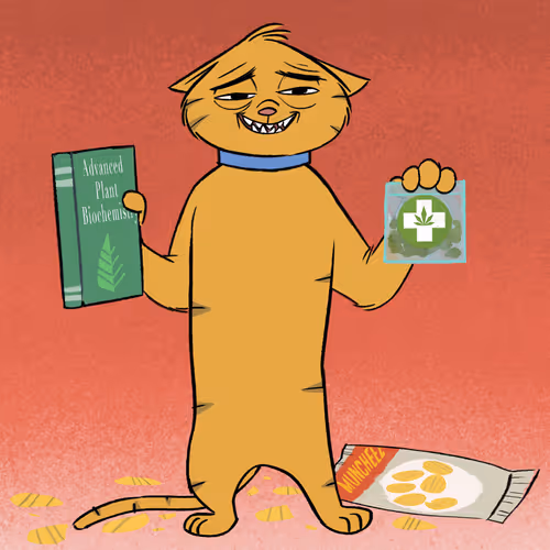 Stoner Cats Official