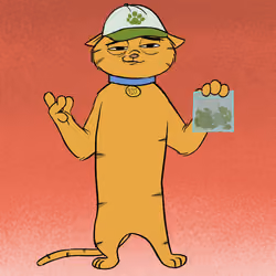 Stoner Cats #8608