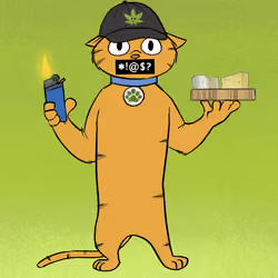 Stoner Cats #4847