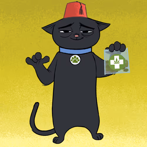 Stoner Cats Official