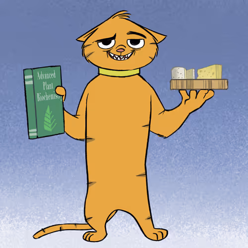 Stoner Cats Official