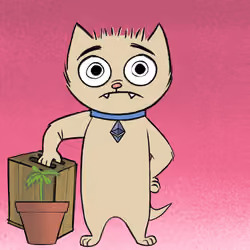 Stoner Cats #7934