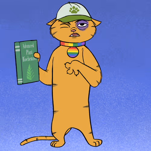 Stoner Cats Official