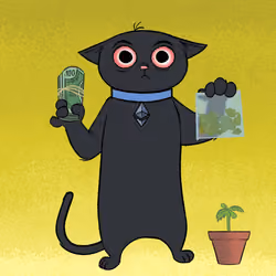Stoner Cats #9585