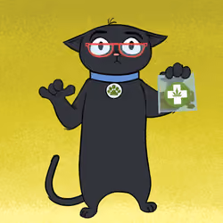 Stoner Cats #4334