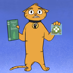 Stoner Cats #9217