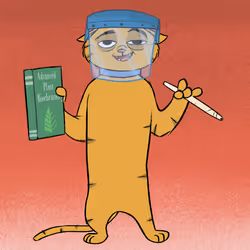 Stoner Cats #3149