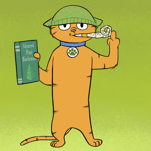 Stoner Cats Official