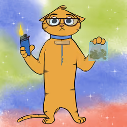 Stoner Cats #5864