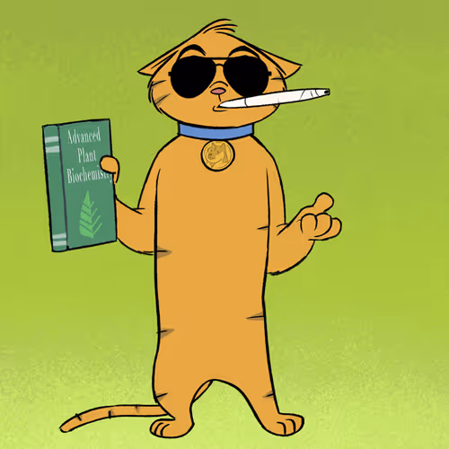 Stoner Cats #5647