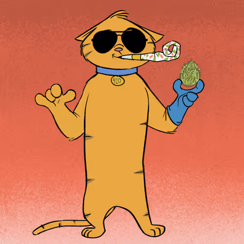 Stoner Cats Official