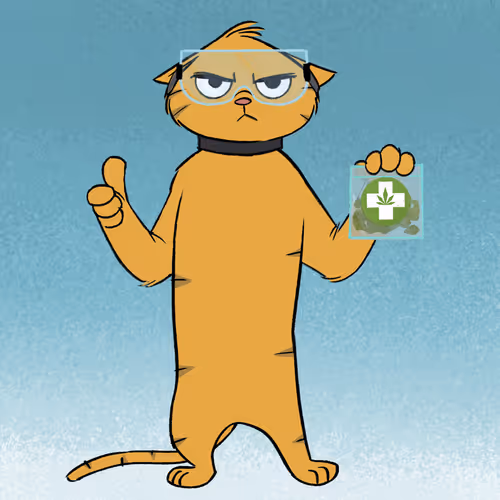 Stoner Cats Official