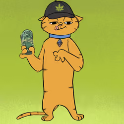 Stoner Cats #4058