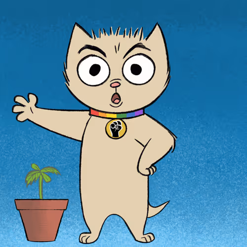 Stoner Cats Official