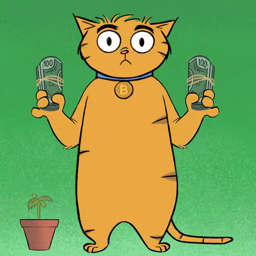 Stoner Cats Official