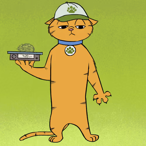 Stoner Cats #8582