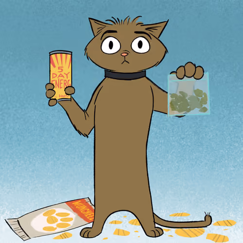 Stoner Cats #5036
