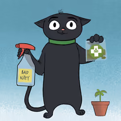 Stoner Cats #2668