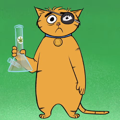 Stoner Cats #6934