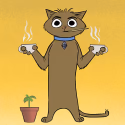 Stoner Cats #5417