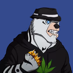 Bully Bear #526