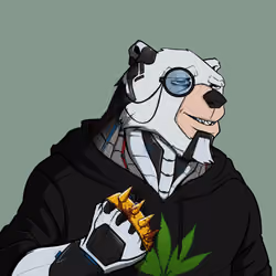 Bully Bear #1377