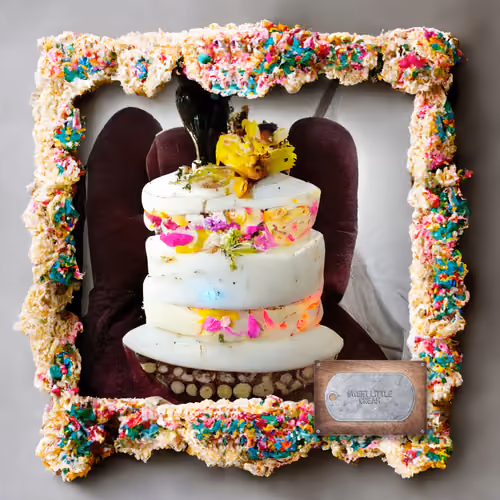 Sweet Little Fairy Sprinkle Pitaya Persimmon Congealed Rice Battery Cake