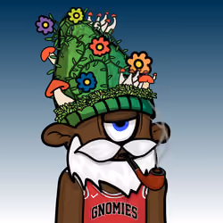 Lil Gnomie #1503