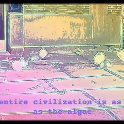 I Will Speak It Into Reality