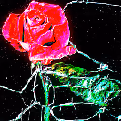 Flower #42 by CYDR