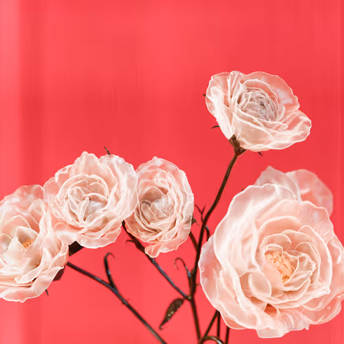 Theflowergarden