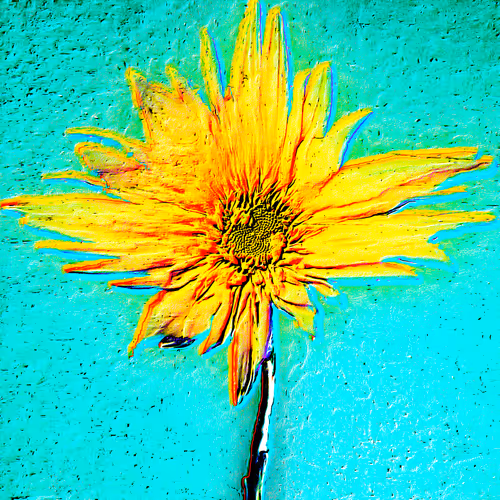 Theflowergarden