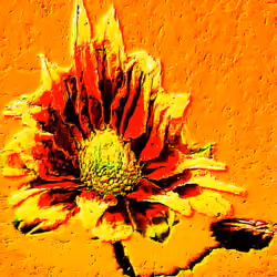 Flower #47 by CYDR