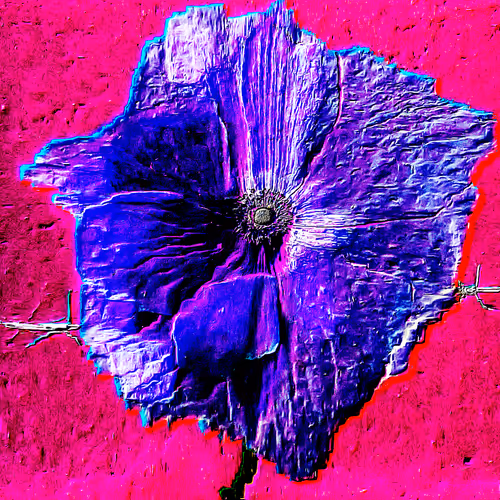 Theflowergarden