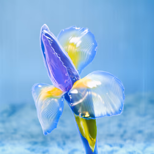 Theflowergarden