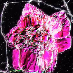Flower #34 by CYDR