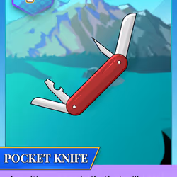 Pocket Knife