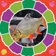 26