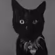 chico