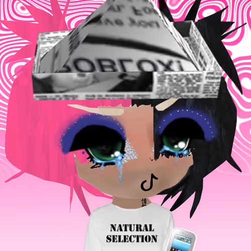 Muhlady