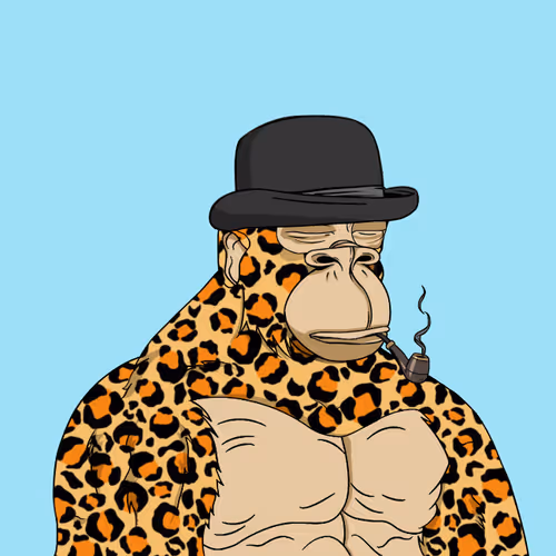 Boredkongyachtclub