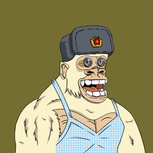 Boredkongyachtclub