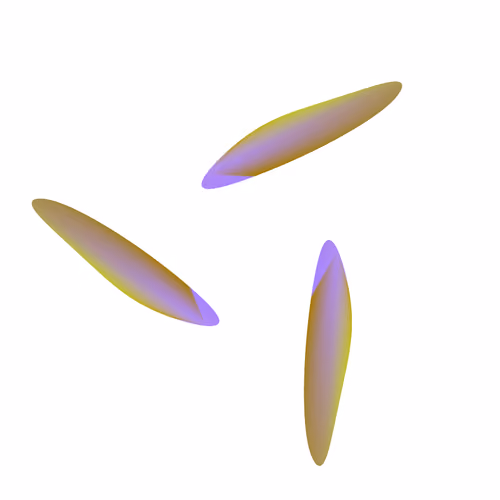 WALTZ #7732