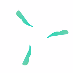 WALTZ #7950