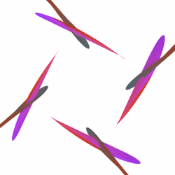 WALTZ #2507